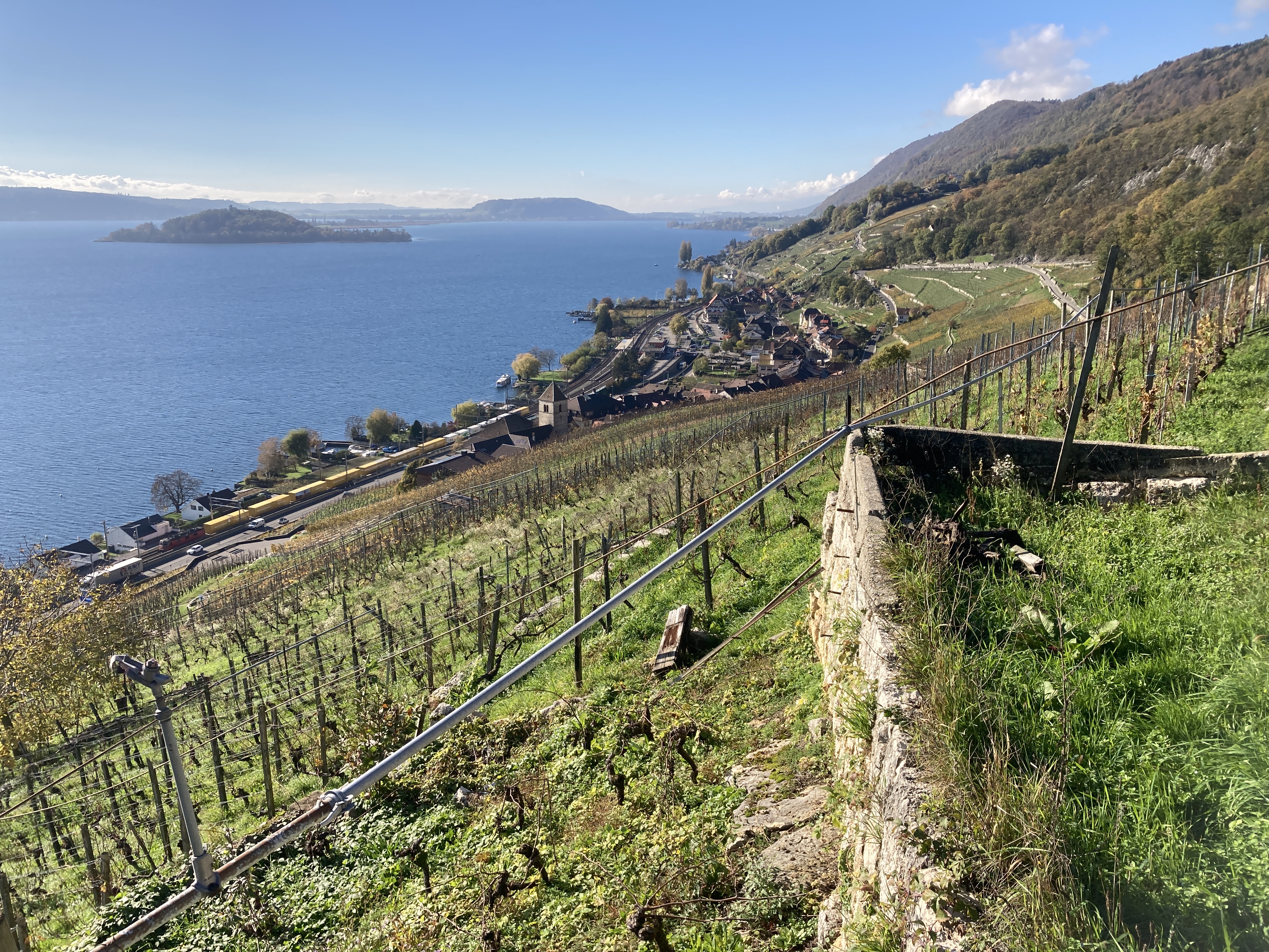 Visiter le vignoble et ses murs