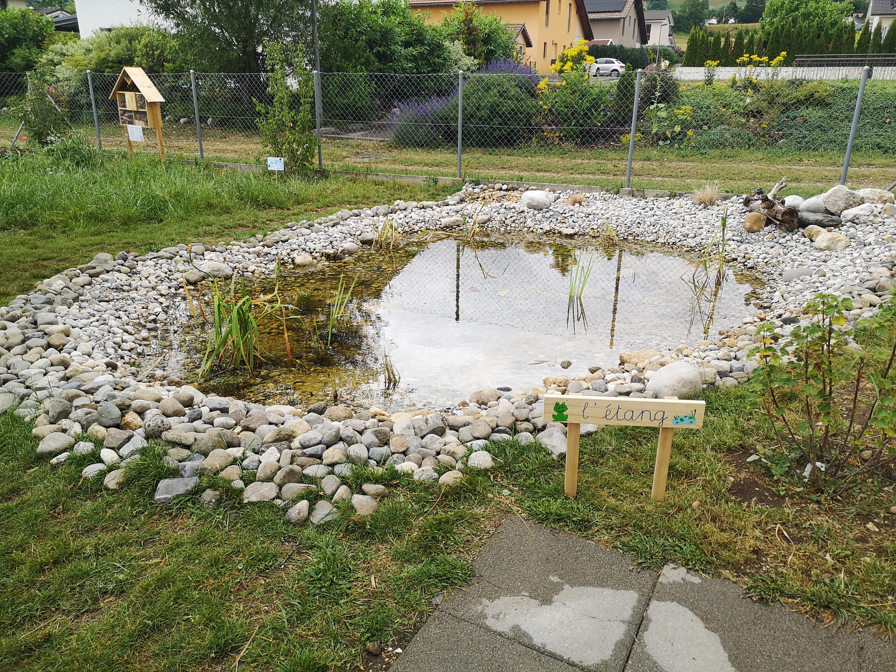 Un plan d'eau dans son jardin pour la biodiversité