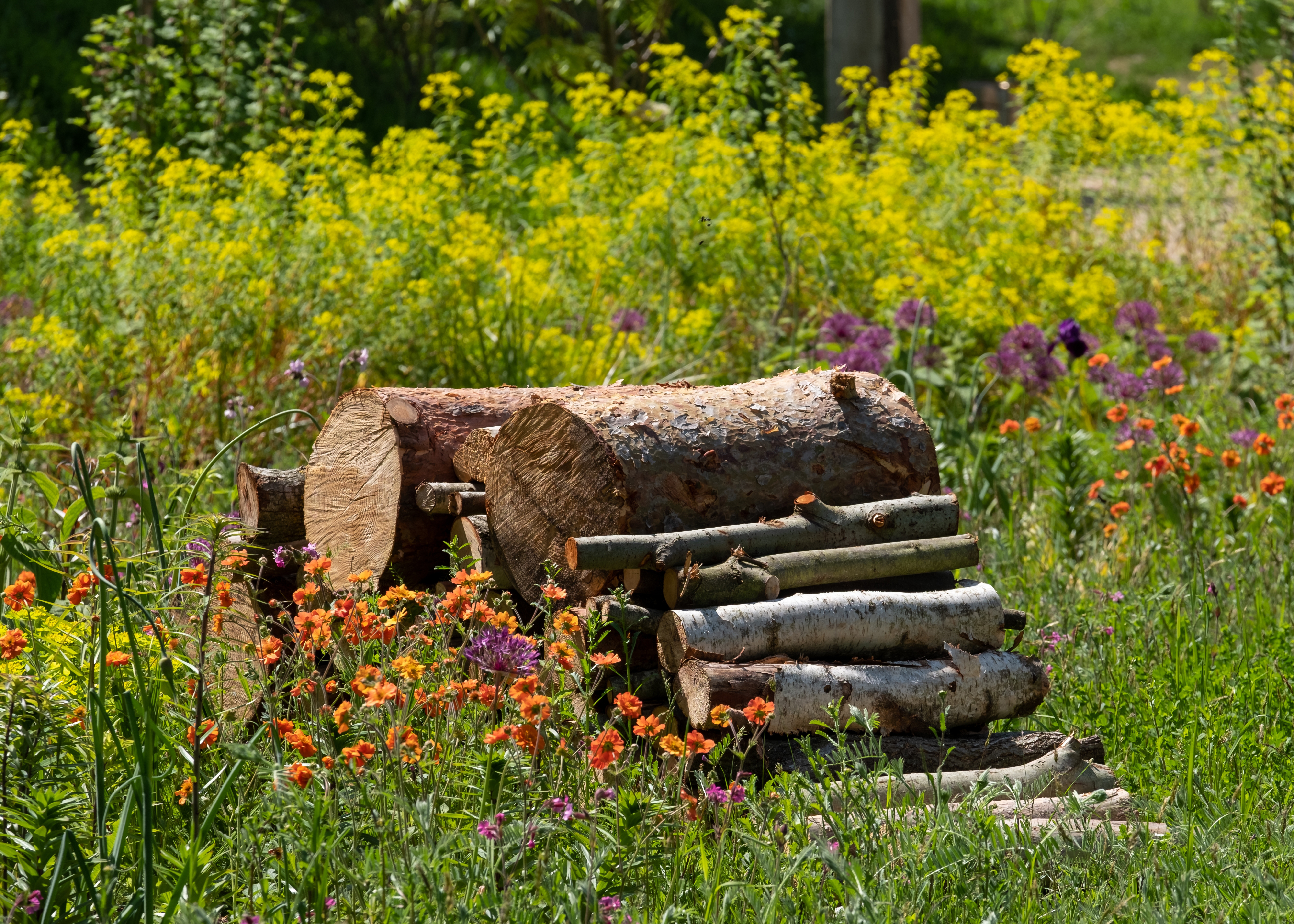 De petites structures pour la faune des jardins