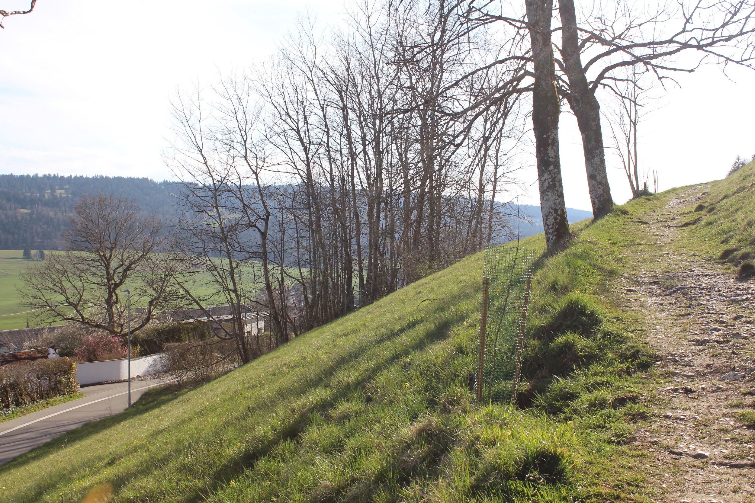 Frühlingsaktionen rund um die «Traverses»