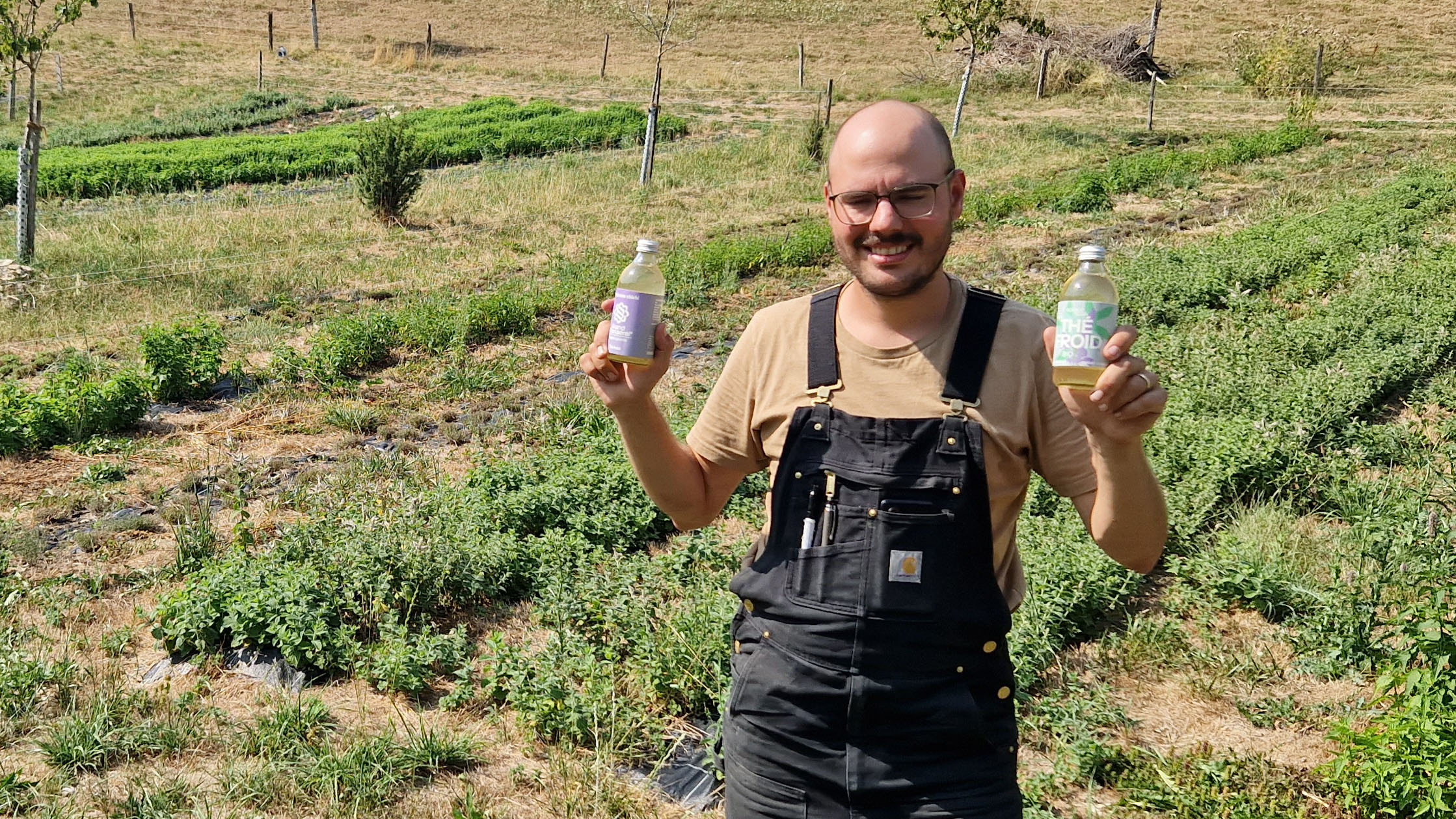 Mega Bon Thé Froid von Souboz Drinks – der mega gute Eistee